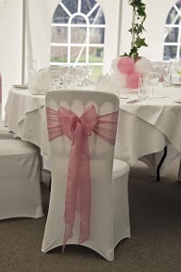 Dream Wedding and Party 1092796 Image 4